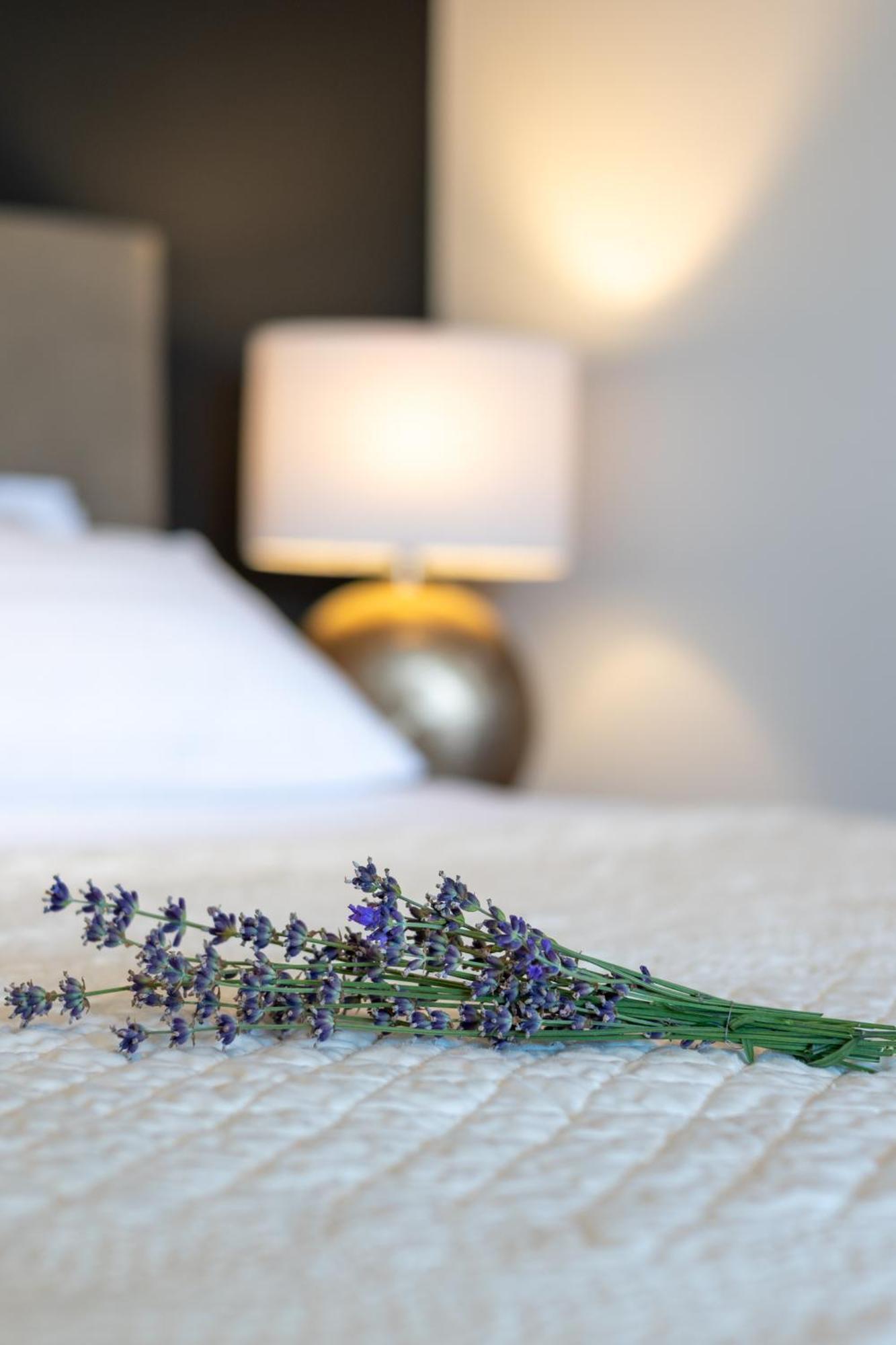 Apartment Sladic Сисак Экстерьер фото